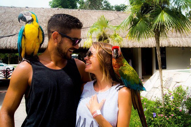 Off-Road Mayan Adventure in Cozumel with Snorkeling and Lunch - Who Will Enjoy This Tour?