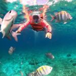 Official Chankanaab Beach Park Day pass with Lunch included - The Bottom Line: Is It Worth It?