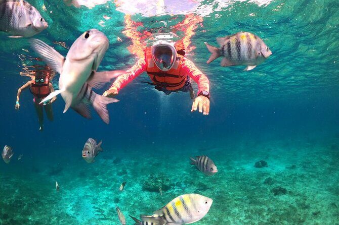 Official Chankanaab Beach Park Day pass with Lunch included - The Bottom Line: Is It Worth It?