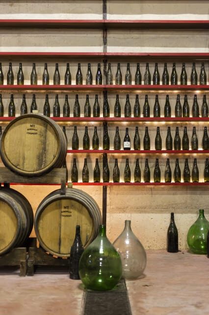 Offida: Tasting itinerary of Rosso Piceno DOC Superiore - What Makes This Tour Stand Out