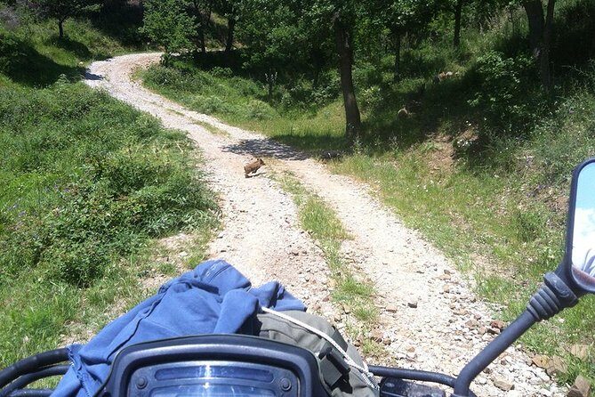Offroad Cefalù Quad Tour - The Experience from Other Travelers