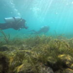 Ohrid: Scuba Diving Experience in Lake Ohrid - What About the Downsides?
