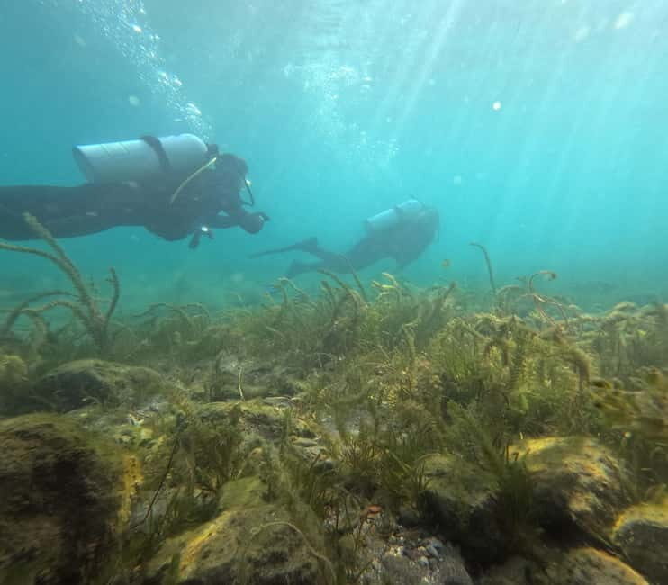 Ohrid: Scuba Diving Experience in Lake Ohrid - What About the Downsides?