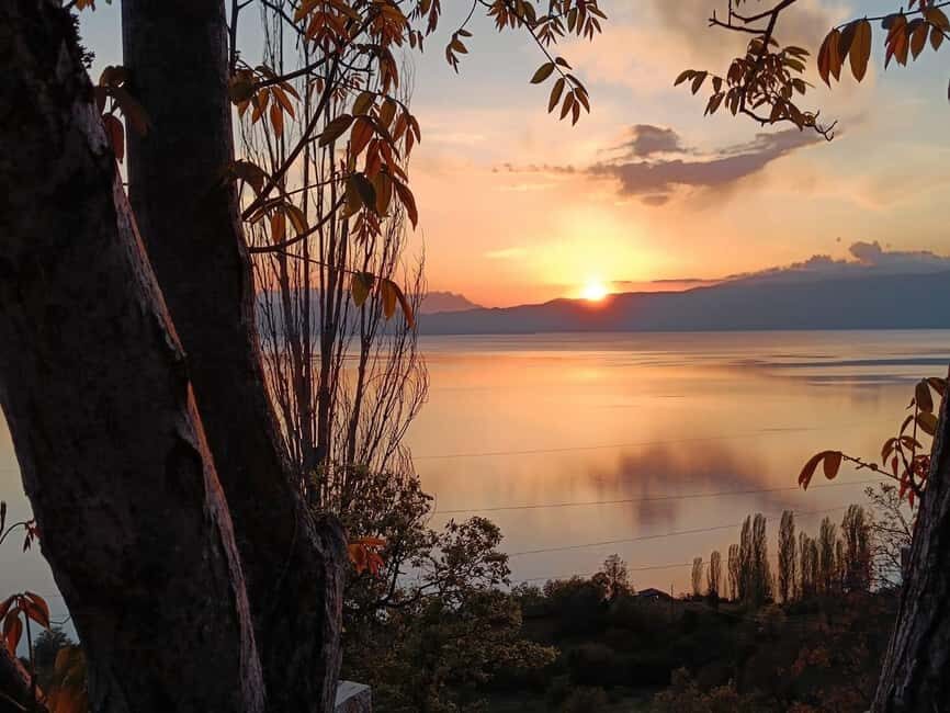 Ohrid: Vik's winetasting - What the Tour Includes and What to Expect