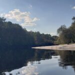 Okefenokee Swamp: Guided Kayak Tour with a Local Naturalist - The Sum Up