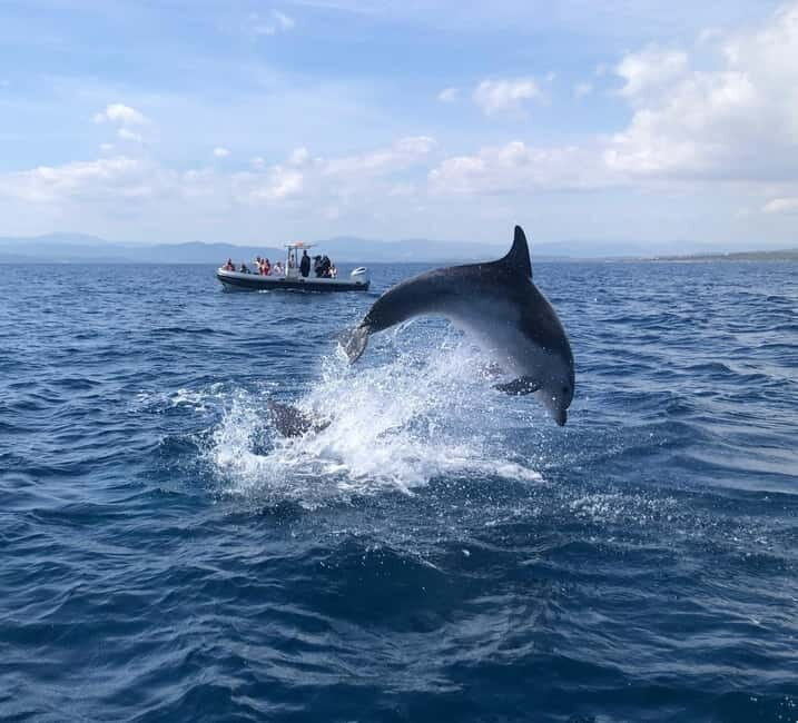 Olbia: : ecological boat trip for dolphin spotting - The Practical Side of the Tour