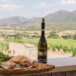 Olbia: Gallura Winery Guided Tour with Tasting - The Highlights and What Makes This Tour Stand Out