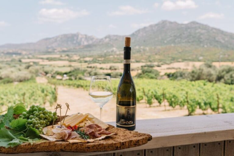 Olbia: Gallura Winery Guided Tour with Tasting - The Highlights and What Makes This Tour Stand Out