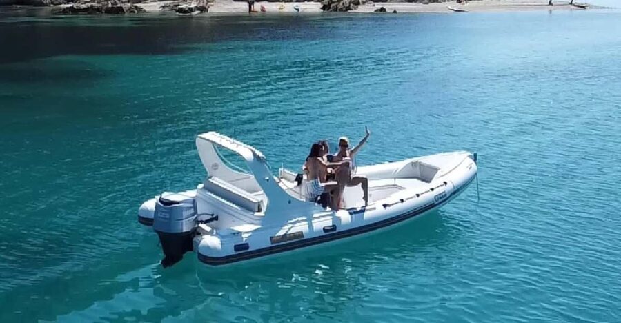 Olbia: Sunset and dolphin watching - Dolphin Watching and Snorkeling in Crystal Waters