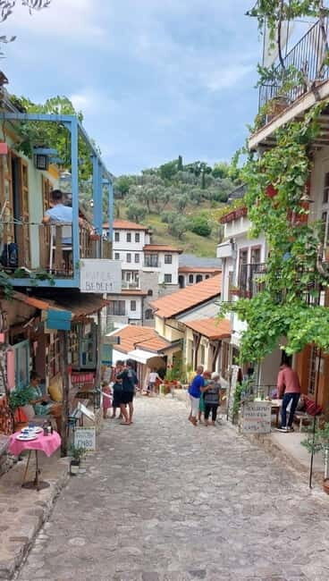 Old Town Bar, Old Olive Tree and the region of olive groves - The Old Olive Tree: A Living Legend