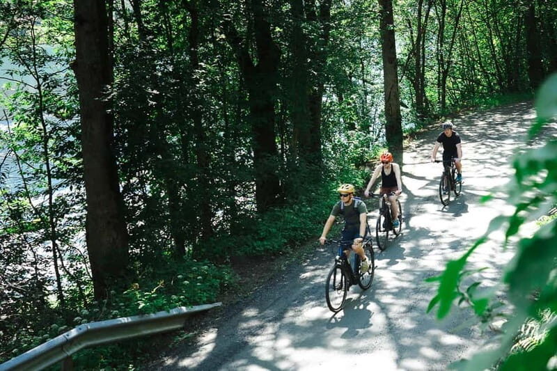 Olden: Guided e-bike tour - What to Expect During the Tour