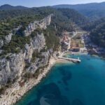 Oldest Olive Tree With Tasting And Lunch - The Scenic Ride and Cultural Stops