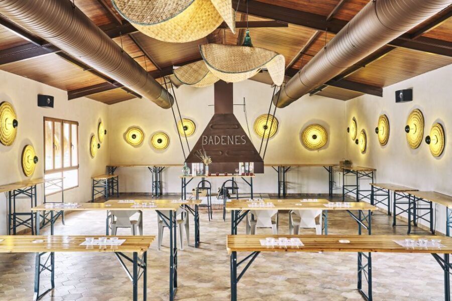 Oleotourism and Monumental Cities - An In-Depth Look at the Tour Experience