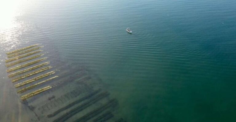 Olhão: Formosa Rota 2H - An In-Depth Look at the Olhão: Formosa Rota 2H Tour