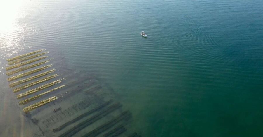 Olhão: Formosa Rota 2H - An In-Depth Look at the Olhão: Formosa Rota 2H Tour