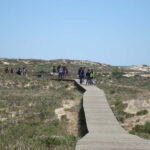 Olhão: Ria Formosa & Culatra Island Boat Trip (3.5 h) - The Practicalities: What You Need to Know