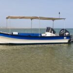 Olhão:5h ride 3 stops on the beaches and islands Ria Formosa - Who Will Love This Tour?