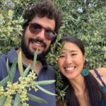 Olive grove walking, Puglian food and olive oil pairing tour - What Works Well and What to Keep in Mind