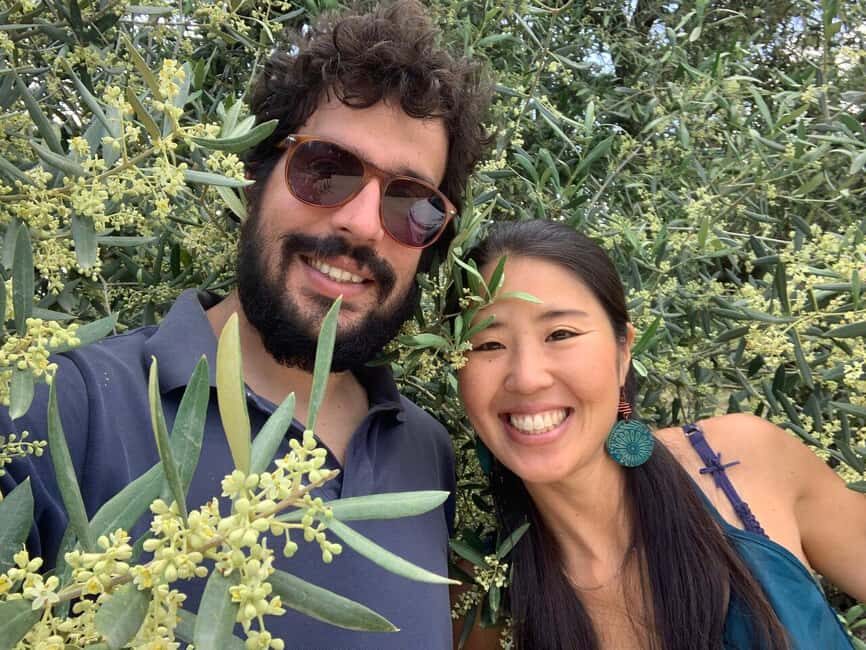 Olive grove walking, Puglian food and olive oil pairing tour - What Works Well and What to Keep in Mind