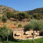 Olive Mill Festival - What Travelers Say