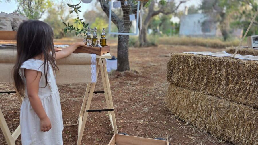 Olive Oil and almond Tour and Tasting: Brindisi, Ostuni - Whats Included & What You Should Expect