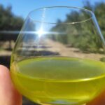 Olive Oil Tasting at the Mykonian Farm - Is the Price Worth It?