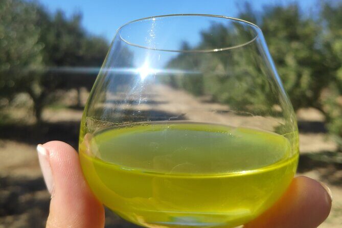 Olive Oil Tasting at the Mykonian Farm - Is the Price Worth It?