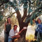 Olive oil tasting with seminar in Metagitsi - Halkidiki - The Value of the Experience