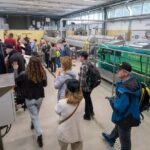 Olive Tree Tour, Visit Vallarella Oil Mill, Oil Tasting - The Downsides and Considerations