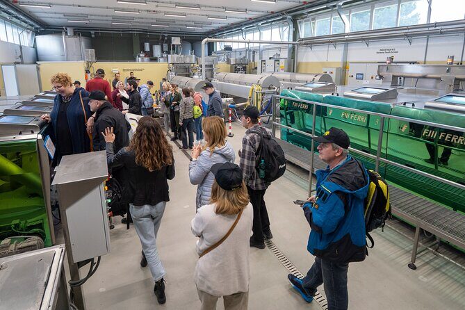 Olive Tree Tour, Visit Vallarella Oil Mill, Oil Tasting - The Downsides and Considerations