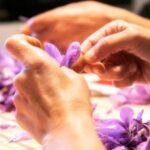 Olmedo: visit to the saffron workshop with tasting - Who Should Consider This Tour?