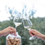 Oltrepò Pavese: a stone's throw from Milan, wine tasting surrounded by nature - The experience details: what travelers should know