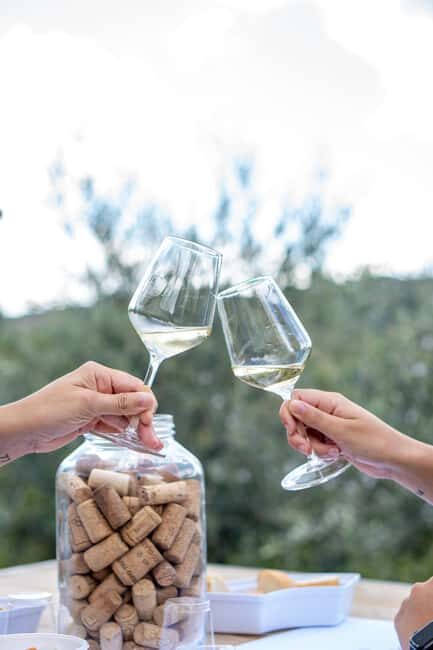 Oltrepò Pavese: a stone's throw from Milan, wine tasting surrounded by nature - The experience details: what travelers should know