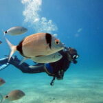 Oludeniz Half Day Scuba Diving Program - The Practical Side: What’s Included and What’s Not