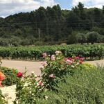 Olympia - Full day Tour with mini bus - Who Should Consider This Tour?