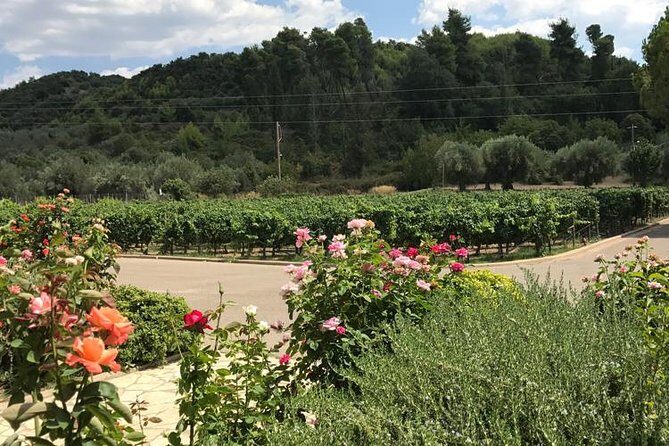 Olympia - Full day Tour with mini bus - Who Should Consider This Tour?