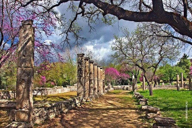 Olympia Highlights & Winery Experience: 4-Hour Tour - The Archaeological Museum of Olympia