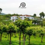 Olympia's Secrets & Wine Enchantment Tour - All Included - Is This Tour Worth It?