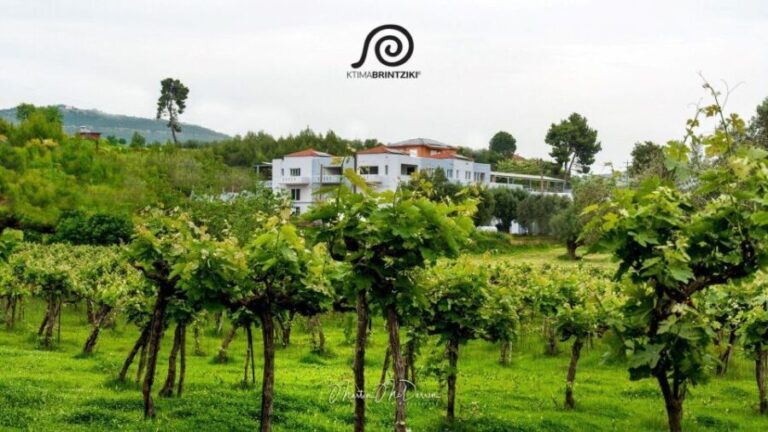 Olympia's Secrets & Wine Enchantment Tour - All Included - Is This Tour Worth It?