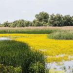 On Draculas Footsteps: 8 Days - Transportation, Accommodation & Overall Value