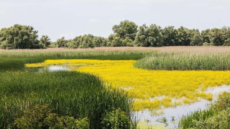 On Draculas Footsteps: 8 Days - Transportation, Accommodation & Overall Value