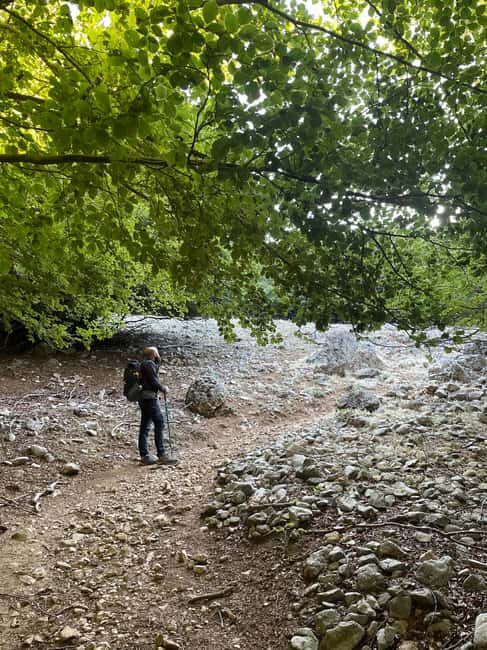 On the roof of the Madonie: Day trip to the summit of Pizzo Carbonara - What Travelers Say About the Experience