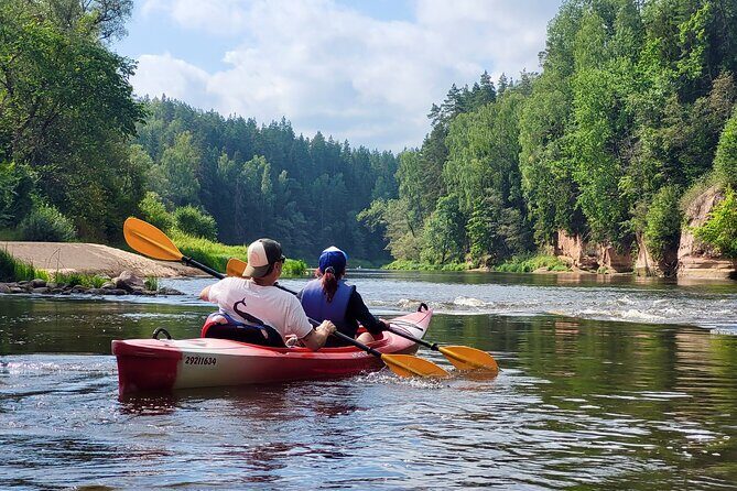 One-Day Kayaking Trip in Gauja River Valley - What Makes This Tour Stand Out