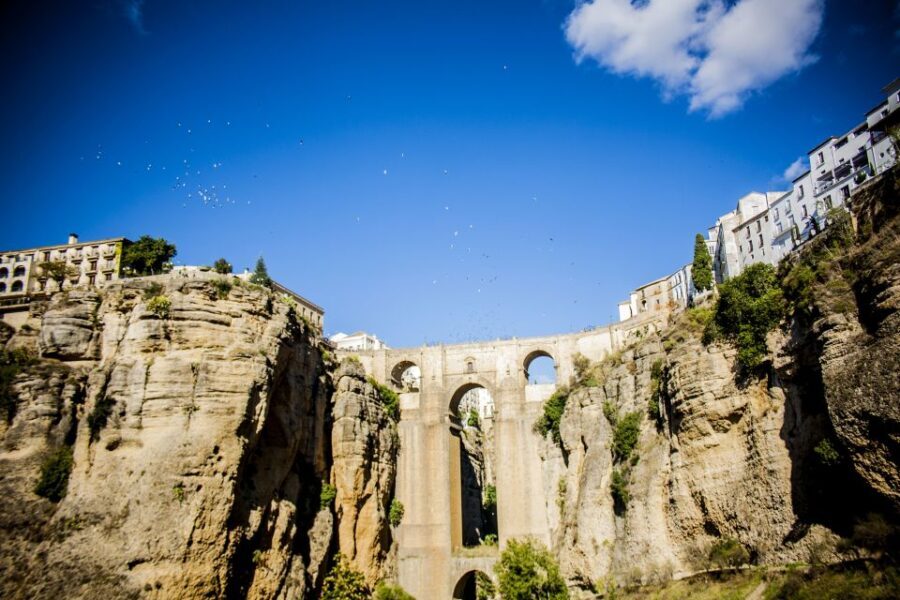 One Day Trip Ronda From Málaga - The Practicalities: Transportation, Group Size, and Cost