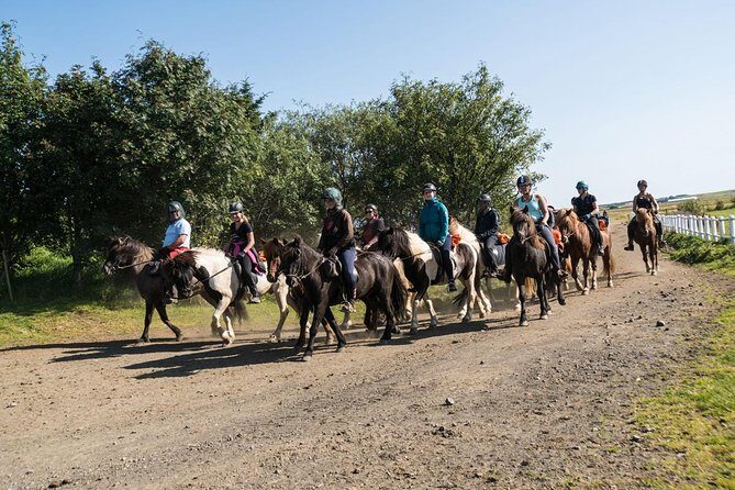 One-Hour Horseback Riding Tour in the Icelandic Countryside - What to Expect on the Tour