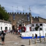 One Way Lisbon to Porto, through Obidos, Nazare, Alcobaca and Aveiro - Who Would Love This Tour?