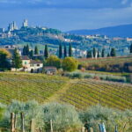One Way Private Transfer: Florence to Rome with Visit to San Gimignano and Siena - The Inside Scoop on the Transfer Experience