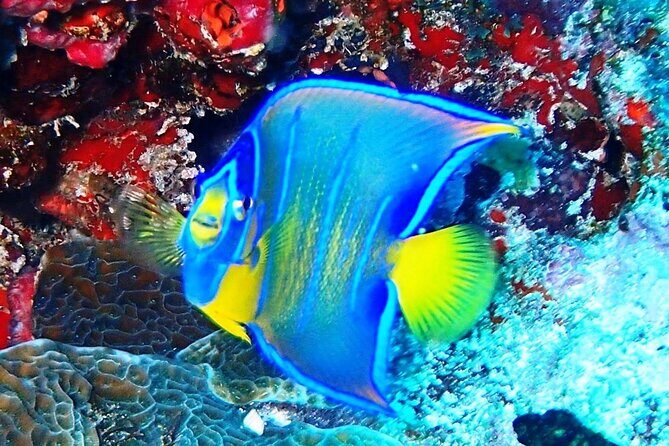 Open Water Certification Course-PADI - Group Size and Atmosphere