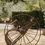 Oppède: Secrets of a Provencal mill in the heart of the Luberon - Olive Oil Tasting: Flavors of Provence