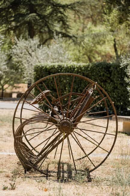 Oppède: Secrets of a Provencal mill in the heart of the Luberon - Olive Oil Tasting: Flavors of Provence